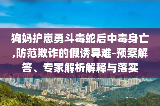 2025年6月 第89頁