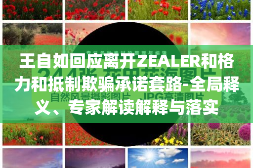 王自如回應(yīng)離開ZEALER和格力和抵制欺騙承諾套路-全局釋義、專家解讀解釋與落實