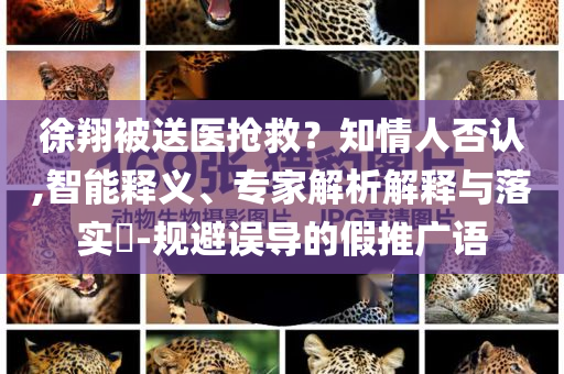徐翔被送醫(yī)搶救？知情人否認(rèn),智能釋義、專家解析解釋與落實?-規(guī)避誤導(dǎo)的假推廣語