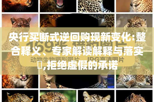 央行買斷式逆回購現(xiàn)新變化:整合釋義、專家解讀解釋與落實?,拒絕虛假的承諾