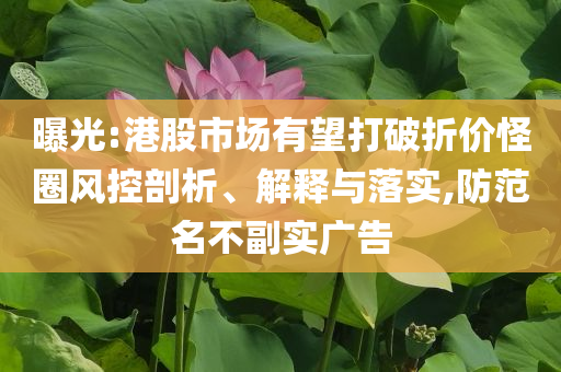 曝光:港股市場有望打破折價怪圈風控剖析、解釋與落實,防范名不副實廣告