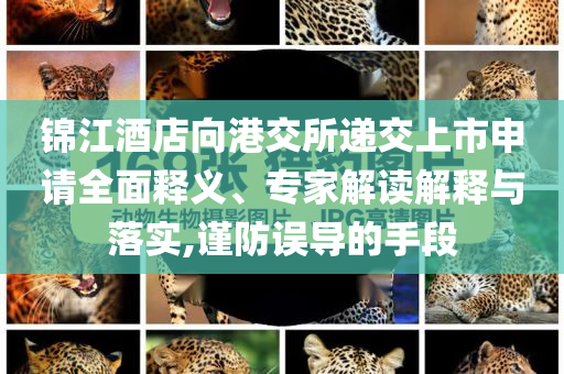 2025年6月 第80頁