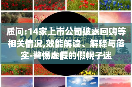 質(zhì)問:14家上市公司披露回購等相關(guān)情況,效能解讀、解釋與落實(shí)-警惕虛假的假幌子迷