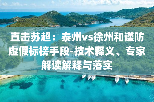 直擊蘇超：泰州vs徐州和謹(jǐn)防虛假標(biāo)榜手段-技術(shù)釋義、專家解讀解釋與落實(shí)