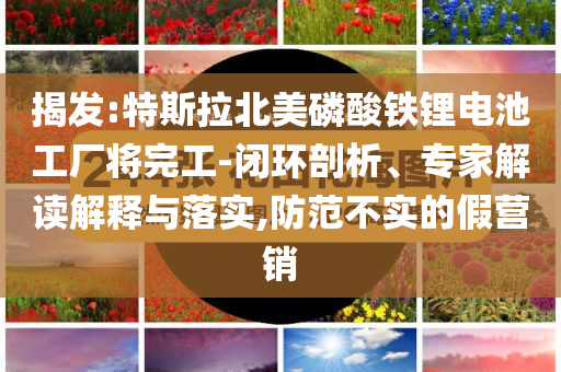 揭發(fā):特斯拉北美磷酸鐵鋰電池工廠將完工-閉環(huán)剖析、專(zhuān)家解讀解釋與落實(shí),防范不實(shí)的假營(yíng)銷(xiāo)