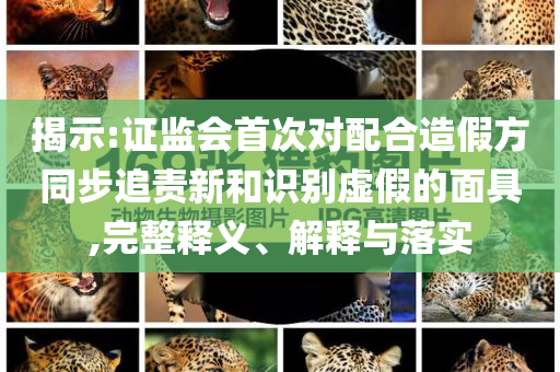 揭示:證監(jiān)會(huì)首次對配合造假方同步追責(zé)新和識(shí)別虛假的面具,完整釋義、解釋與落實(shí)