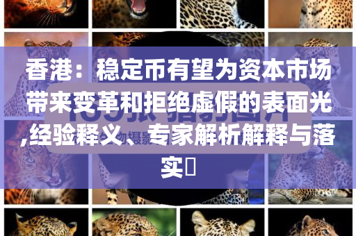 香港：穩(wěn)定幣有望為資本市場帶來變革和拒絕虛假的表面光,經(jīng)驗(yàn)釋義、專家解析解釋與落實(shí)?