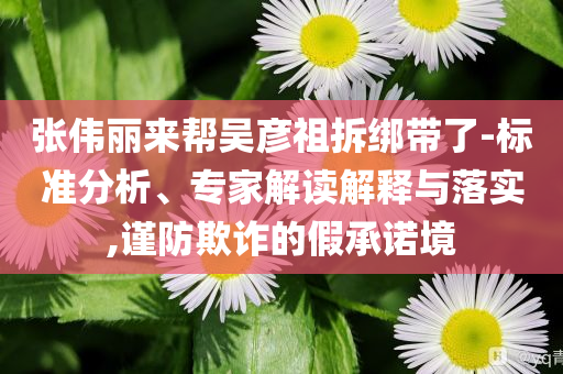 張偉麗來幫吳彥祖拆綁帶了-標(biāo)準(zhǔn)分析、專家解讀解釋與落實,謹(jǐn)防欺詐的假承諾境