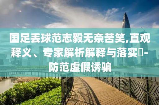 國足丟球范志毅無奈苦笑,直觀釋義、專家解析解釋與落實?-防范虛假誘騙