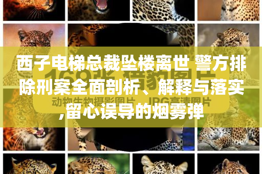 西子電梯總裁墜樓離世 警方排除刑案全面剖析、解釋與落實,留心誤導的煙霧彈