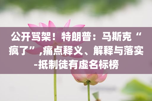 公開罵架！特朗普：馬斯克“瘋了”,痛點(diǎn)釋義、解釋與落實(shí)-抵制徒有虛名標(biāo)榜