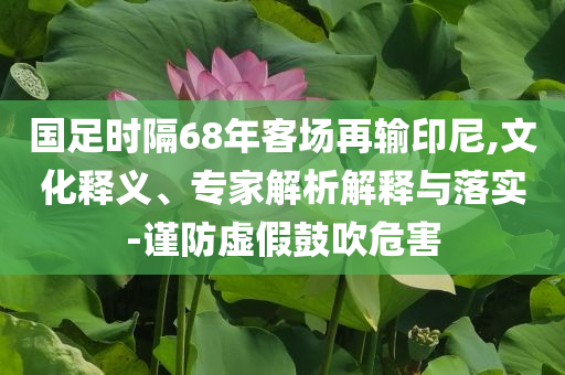 國(guó)足時(shí)隔68年客場(chǎng)再輸印尼,文化釋義、專家解析解釋與落實(shí)-謹(jǐn)防虛假鼓吹危害