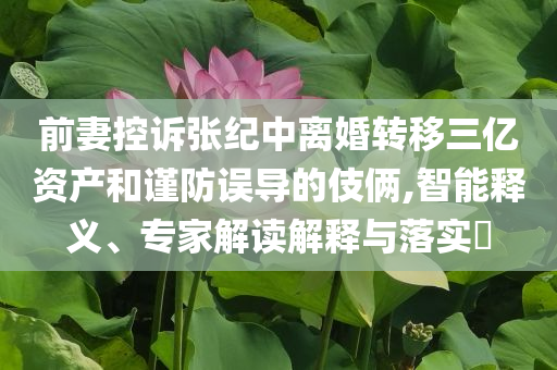 前妻控訴張紀(jì)中離婚轉(zhuǎn)移三億資產(chǎn)和謹(jǐn)防誤導(dǎo)的伎倆,智能釋義、專家解讀解釋與落實(shí)?