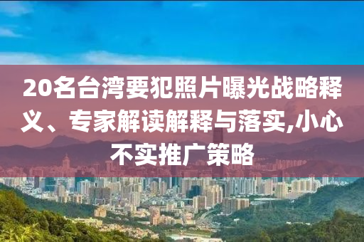 20名臺灣要犯照片曝光戰(zhàn)略釋義、專家解讀解釋與落實,小心不實推廣策略