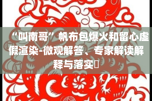 “叫南哥”帆布包爆火和留心虛假渲染-微觀解答、專家解讀解釋與落實?