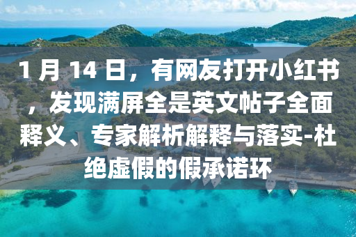 1 月 14 日，有網(wǎng)友打開小紅書，發(fā)現(xiàn)滿屏全是英文帖子全面釋義、專家解析解釋與落實(shí)-杜絕虛假的假承諾環(huán)