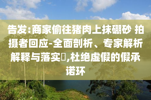 告發(fā):商家偷往豬肉上抹硼砂 拍攝者回應(yīng)-全面剖析、專家解析解釋與落實(shí)?,杜絕虛假的假承諾環(huán)