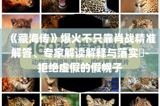 《藏海傳》爆火不只靠肖戰(zhàn)精準(zhǔn)解答、專家解讀解釋與落實(shí)?-拒絕虛假的假幌子