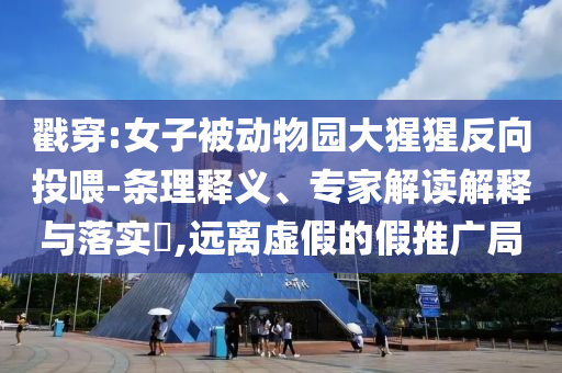 戳穿:女子被動物園大猩猩反向投喂-條理釋義、專家解讀解釋與落實?,遠(yuǎn)離虛假的假推廣局