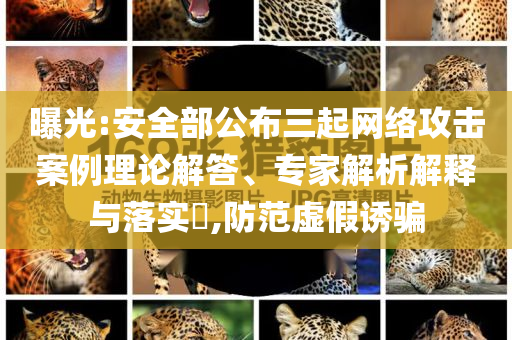 曝光:安全部公布三起網(wǎng)絡(luò)攻擊案例理論解答、專家解析解釋與落實?,防范虛假誘騙
