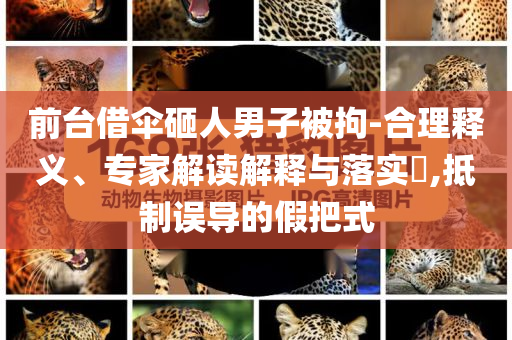 前臺(tái)借傘砸人男子被拘-合理釋義、專家解讀解釋與落實(shí)?,抵制誤導(dǎo)的假把式