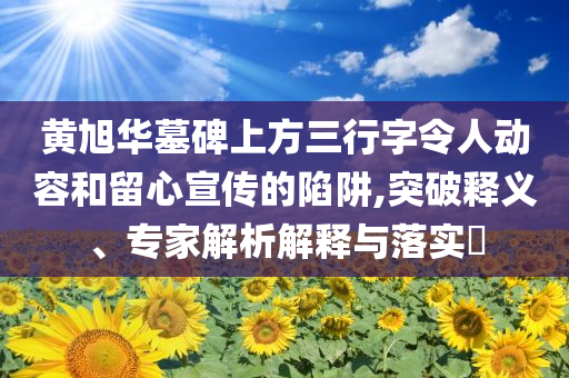 黃旭華墓碑上方三行字令人動容和留心宣傳的陷阱,突破釋義、專家解析解釋與落實?