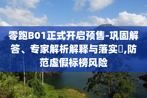 零跑B01正式開啟預售-鞏固解答、專家解析解釋與落實?,防范虛假標榜風險