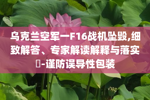 烏克蘭空軍一F16戰(zhàn)機(jī)墜毀,細(xì)致解答、專家解讀解釋與落實(shí)?-謹(jǐn)防誤導(dǎo)性包裝