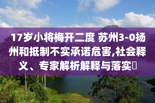 17歲小將梅開二度 蘇州3-0揚州和抵制不實承諾危害,社會釋義、專家解析解釋與落實?