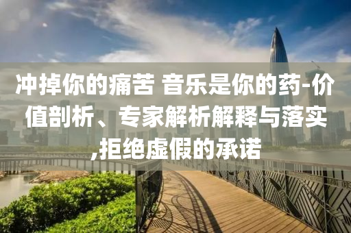 沖掉你的痛苦 音樂是你的藥-價(jià)值剖析、專家解析解釋與落實(shí),拒絕虛假的承諾