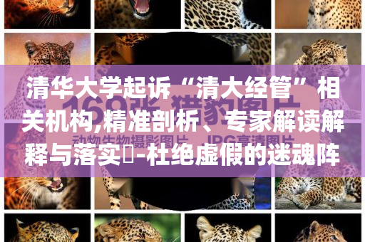 2025年6月 第38頁