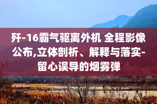 殲-16霸氣驅(qū)離外機(jī) 全程影像公布,立體剖析、解釋與落實-留心誤導(dǎo)的煙霧彈