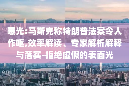 曝光:馬斯克稱特朗普法案令人作嘔,效率解讀、專家解析解釋與落實-拒絕虛假的表面光