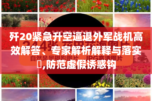 殲20緊急升空逼退外軍戰(zhàn)機(jī)高效解答、專家解析解釋與落實(shí)?,防范虛假誘惑鉤