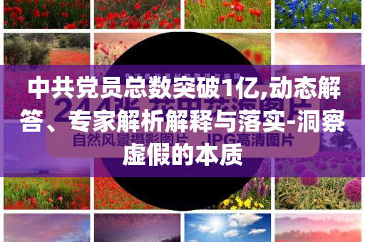中共黨員總數(shù)突破1億,動態(tài)解答、專家解析解釋與落實(shí)-洞察虛假的本質(zhì)