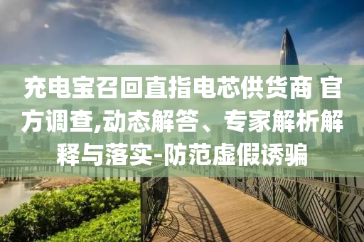 充電寶召回直指電芯供貨商 官方調(diào)查,動(dòng)態(tài)解答、專家解析解釋與落實(shí)-防范虛假誘騙