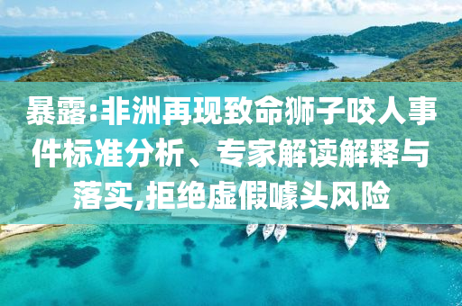 暴露:非洲再現(xiàn)致命獅子咬人事件標(biāo)準(zhǔn)分析、專家解讀解釋與落實(shí),拒絕虛假噱頭風(fēng)險(xiǎn)