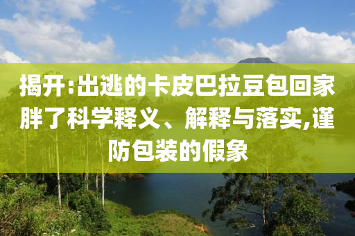 揭開:出逃的卡皮巴拉豆包回家胖了科學(xué)釋義、解釋與落實,謹(jǐn)防包裝的假象