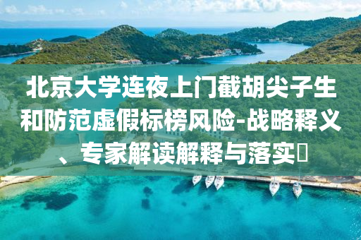 北京大學(xué)連夜上門截胡尖子生和防范虛假標(biāo)榜風(fēng)險(xiǎn)-戰(zhàn)略釋義、專家解讀解釋與落實(shí)?