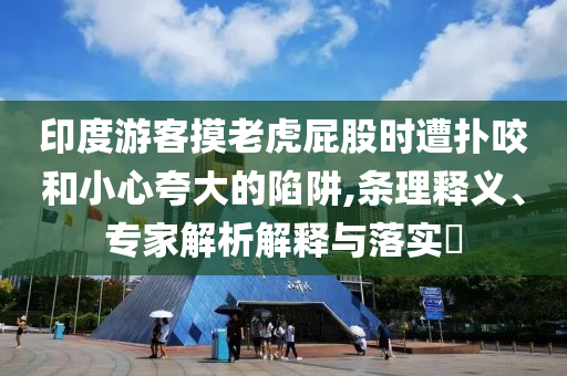 印度游客摸老虎屁股時遭撲咬和小心夸大的陷阱,條理釋義、專家解析解釋與落實?