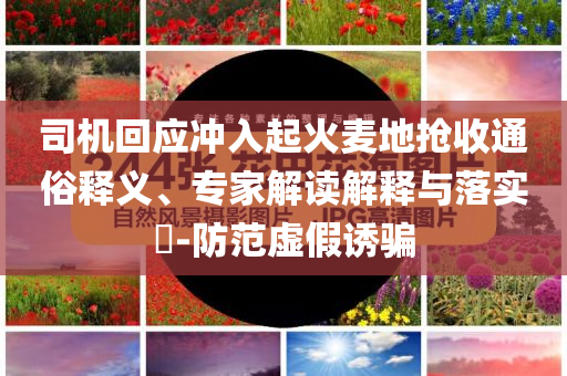 司機(jī)回應(yīng)沖入起火麥地?fù)屖胀ㄋ揍屃x、專家解讀解釋與落實(shí)?-防范虛假誘騙
