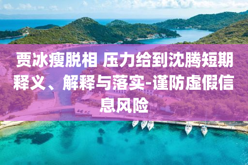 賈冰瘦脫相 壓力給到沈騰短期釋義、解釋與落實(shí)-謹(jǐn)防虛假信息風(fēng)險(xiǎn)