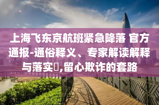 上海飛東京航班緊急降落 官方通報-通俗釋義、專家解讀解釋與落實?,留心欺詐的套路