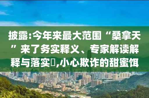 披露:今年來最大范圍“桑拿天”來了務(wù)實釋義、專家解讀解釋與落實?,小心欺詐的甜蜜餌