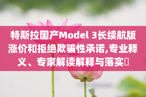 特斯拉國產(chǎn)Model 3長(zhǎng)續(xù)航版漲價(jià)和拒絕欺騙性承諾,專業(yè)釋義、專家解讀解釋與落實(shí)?