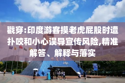 戳穿:印度游客摸老虎屁股時遭撲咬和小心誤導(dǎo)宣傳風(fēng)險,精準(zhǔn)解答、解釋與落實