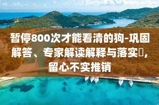 暫停800次才能看清的狗-鞏固解答、專家解讀解釋與落實(shí)?,留心不實(shí)推銷
