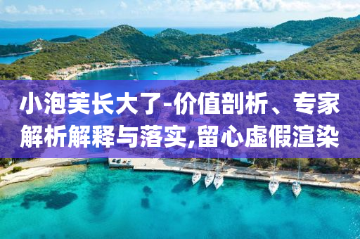 小泡芙長大了-價值剖析、專家解析解釋與落實,留心虛假渲染