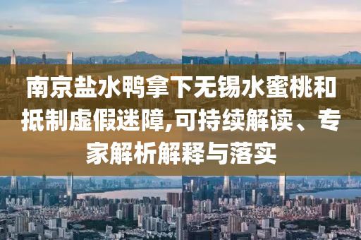 南京鹽水鴨拿下無錫水蜜桃和抵制虛假迷障,可持續(xù)解讀、專家解析解釋與落實