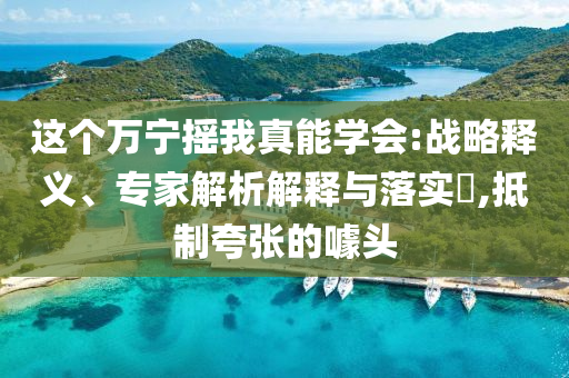 這個(gè)萬寧搖我真能學(xué)會(huì):戰(zhàn)略釋義、專家解析解釋與落實(shí)?,抵制夸張的噱頭